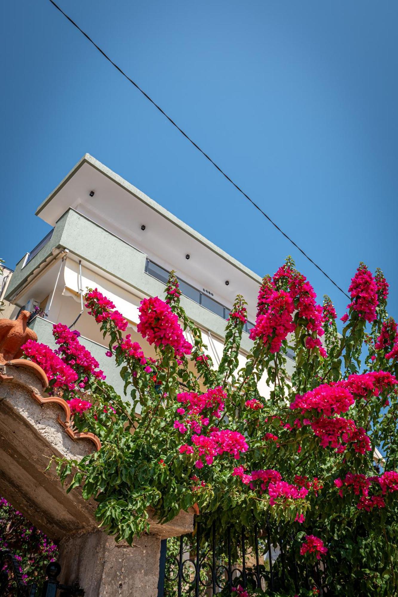 Euphoria Apartments Σαράντα Εξωτερικό φωτογραφία